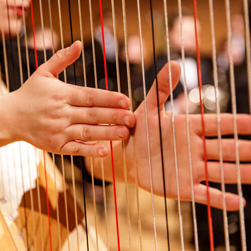 A harpist drags her hands across the strings of her harp.