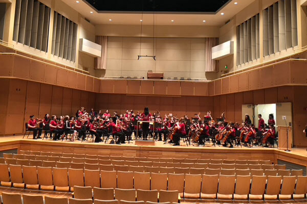 A string orchestra.