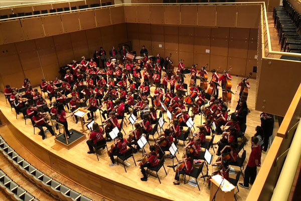 A string orchestra.