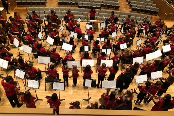 A string orchestra.