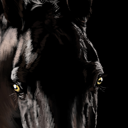 graphic of black horse